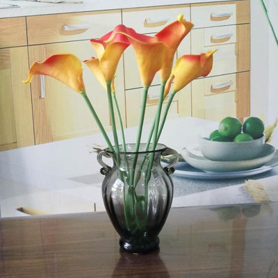 کیفیت Solid Color Two Ears Glass Bottle Vase , Flower Vase Glass For Home Decor کارخانه